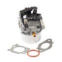 BRIGGS & STRATTON Förgasare 591137 - 1