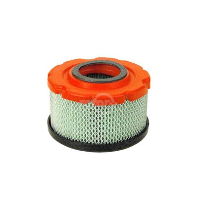 Briggs & Stratton luftfilter 797819 - 1