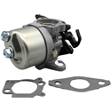 BRIGGS & STRATTON Förgasare 84001115 - 1