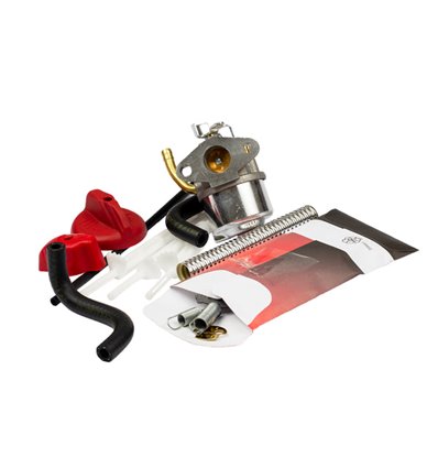 BRIGGS & STRATTON Förgasare 798917 - 1